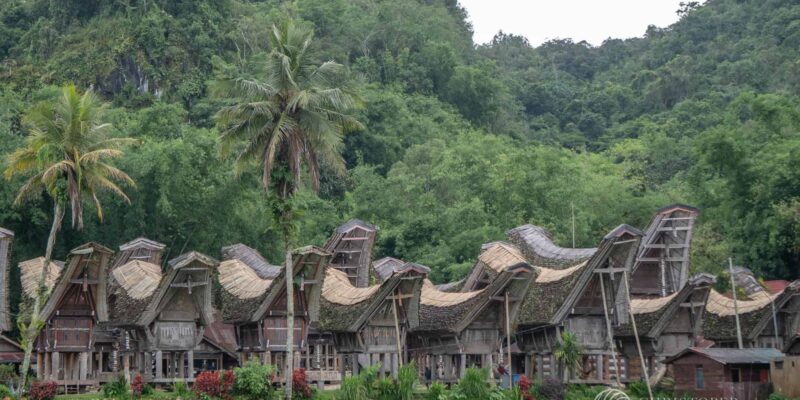 Ketekesu Toraja Traditional Village, in South Sulawesi by Christoper Tambanua, a trusted toraja tour guide
