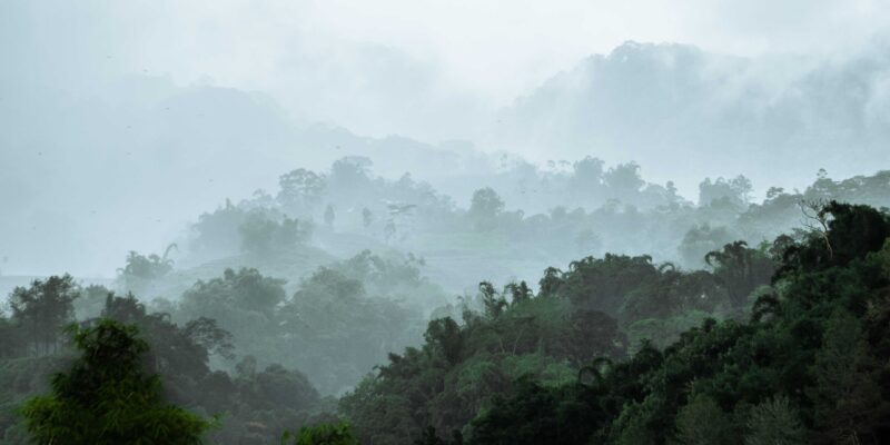 Malino Highland, South Sulawesi by Christoper Tambanua, the best sulawesi tour organizer